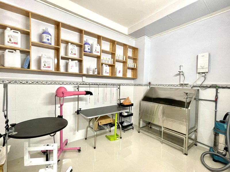 Không gian phòng mạch thú y PET SU tại An Giang với khu vực chăm sóc thú cưng sạch sẽ, hiện đại và được đầu tư chỉn chu nhằm mang đến trải nghiệm tốt hơn cho khách hàng và thú cưng