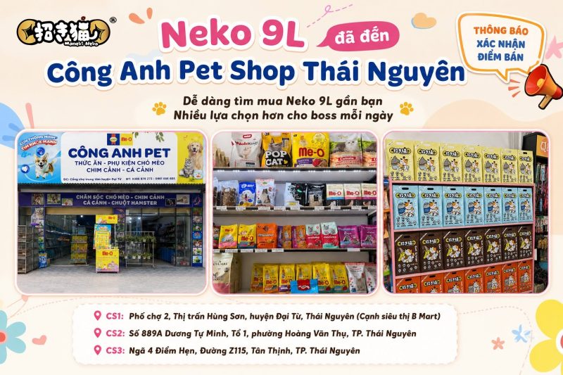 Neko 9L đã có mặt tại Công Anh Pet Shop Thái Nguyên, hệ thống pet shop được nhiều người nuôi thú cưng tin tưởng tại Thái Nguyên.