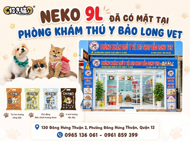 Neko 9L chính thức có mặt tại Phòng Khám Thú Y Bảo Long Vet Quận 12