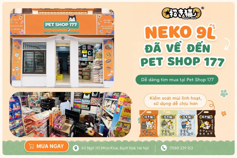 NEKO 9L chính thức lên kệ tại Petshop 177 Hà Nội - địa chỉ mua cát vệ sinh mèo uy tín