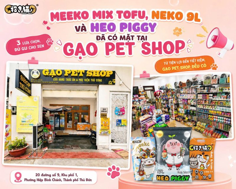 Meeko Mix Tofu, Neko 9L và Heo Piggy đã có mặt tại Gạo Pet Shop Hiệp Bình Chánh
