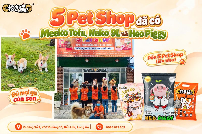 5 Pet Shop tại Bến Lức, Long An hiện có Meeko Mix Tofu, Neko 9L và Heo Piggy – các dòng cát mèo từ Maneki Neko dành cho nhiều nhu cầu sử dụng.